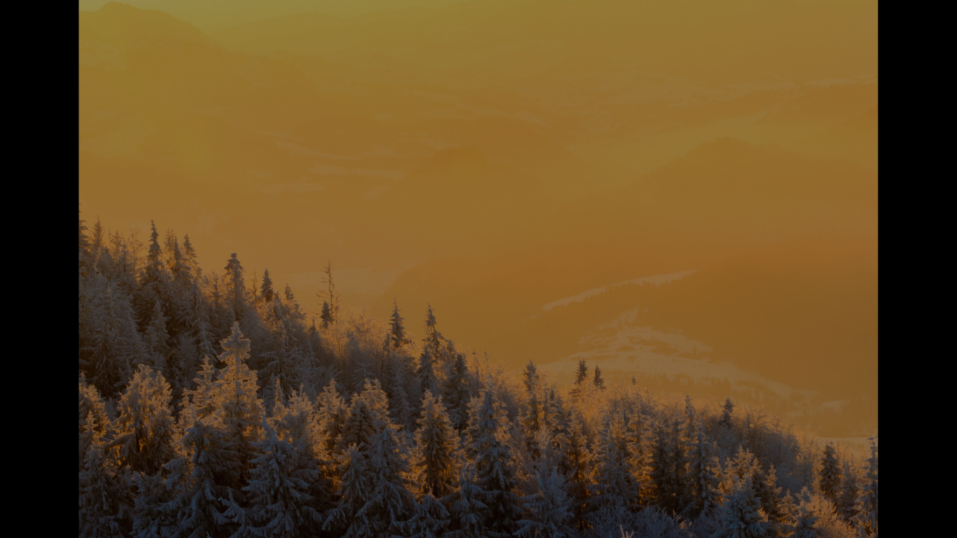 AI Sports Highlights