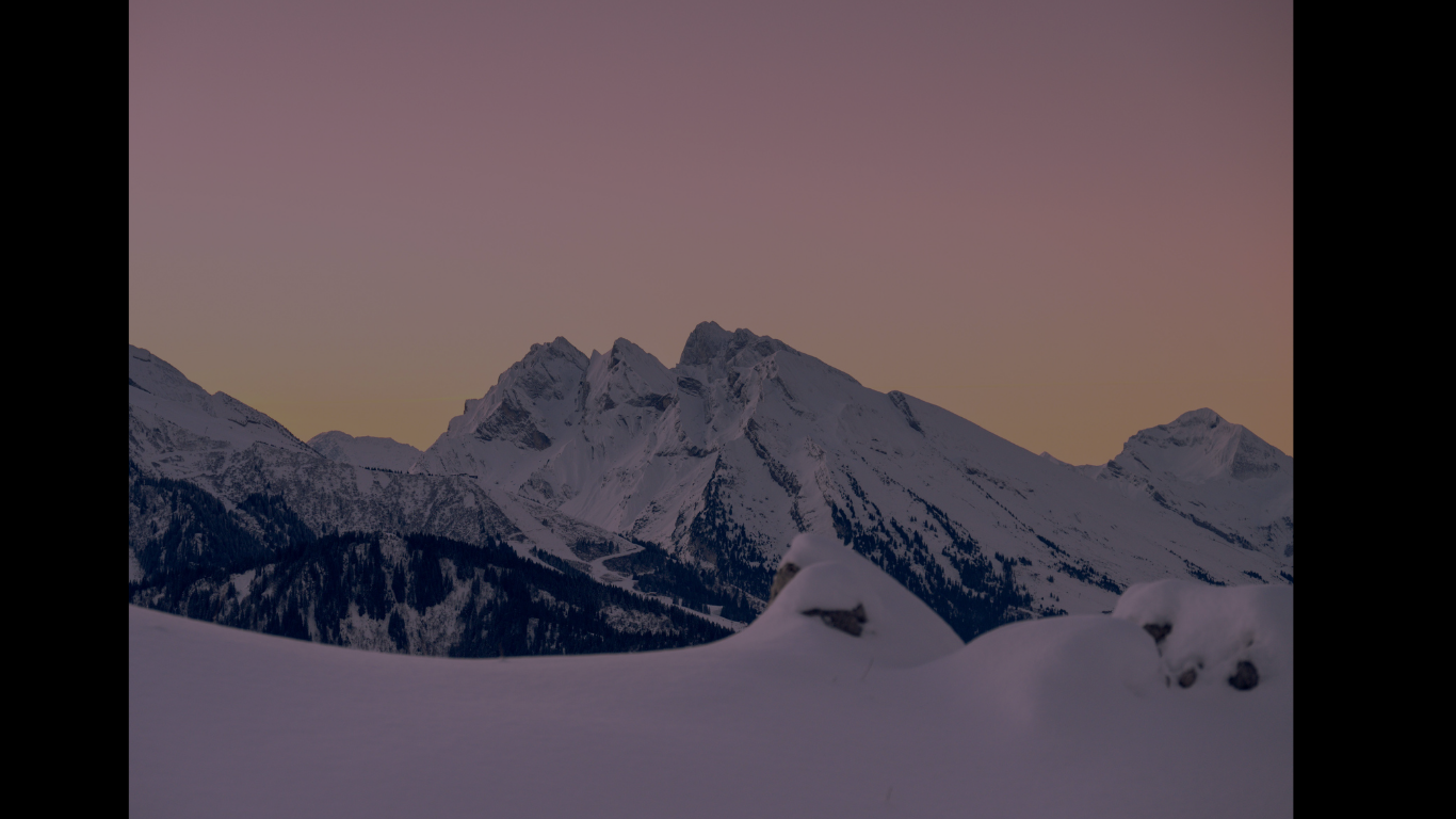 Environment, Health, & Safety Intelligence