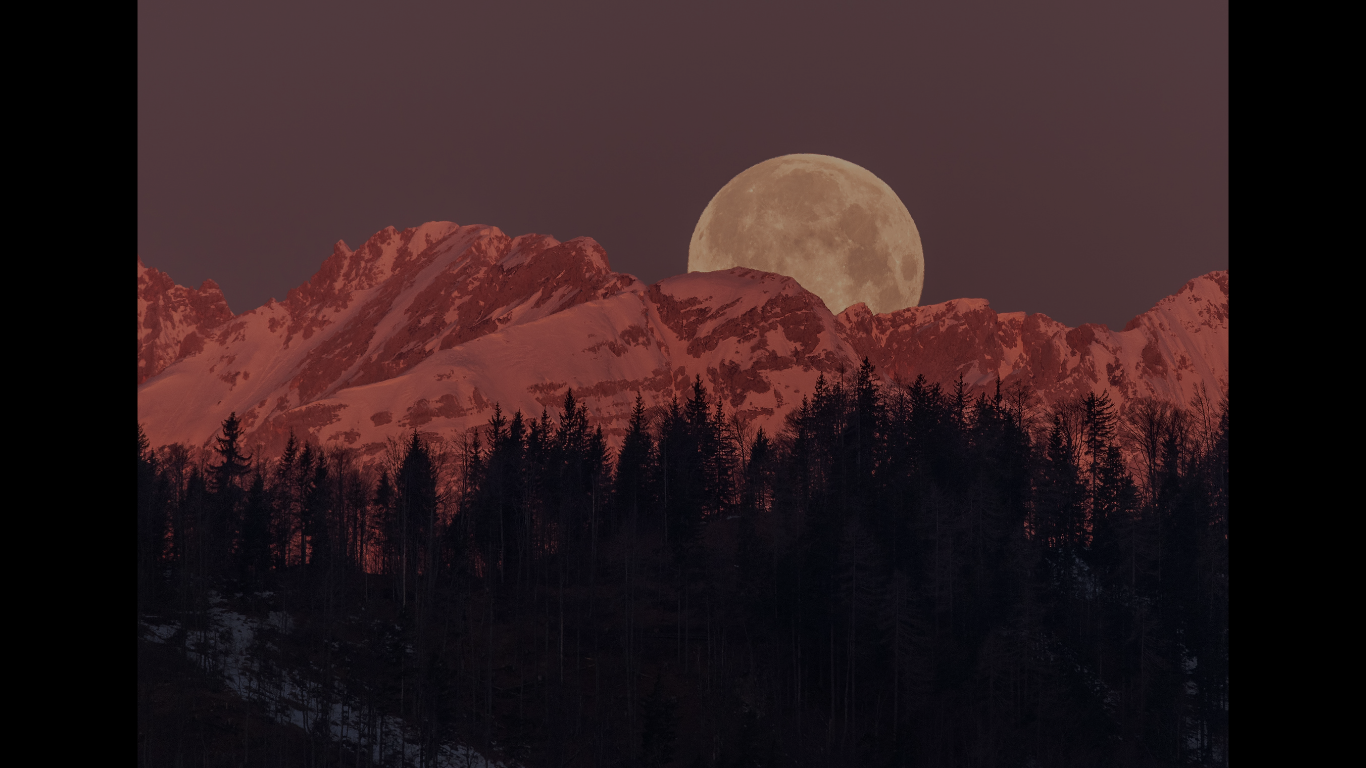 ESG & Sustainability